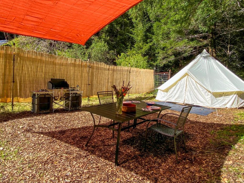 Glamping in the Redwoods